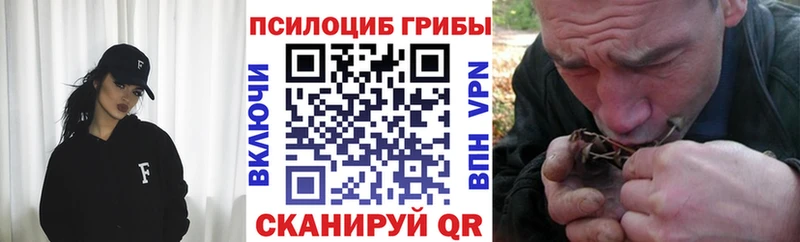 Псилоцибиновые грибы мицелий  Полесск 